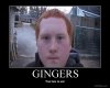 fail-poster-b4m4zcnr8k-GINGERS.jpg