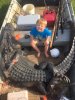 11ft 7in gator.jpg