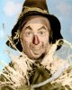 8x10_scarecrow-ray-bolger_20wizardofOz_large.jpg