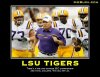 lsu2.jpg