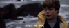 upload_2019-11-9_20-22-43.gif