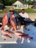 snapper and cobe.jpg
