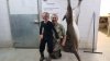 kk 1st deer 2.jpg