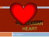 the-human-heart-1-638.jpg