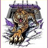 TigersofGeauxld